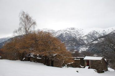 Il nocciolo di Gerbaut
