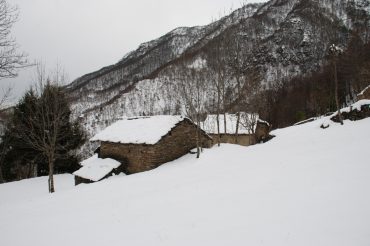 Il capriolo di Clos Beiran
