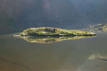 Lac dla Muta non Laus