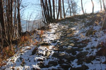 Il  “Sentiero dei Castagneti”