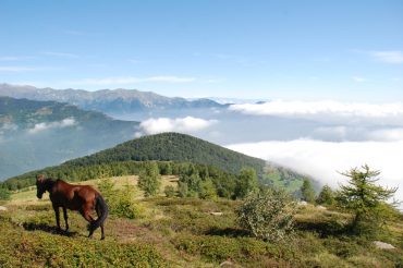 Spettacolo di fine agosto