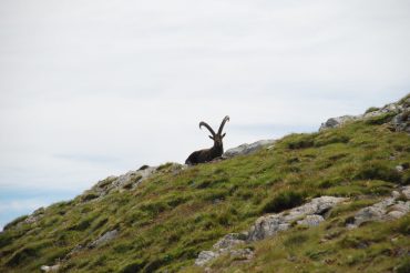 Due virgole tra terra e cielo