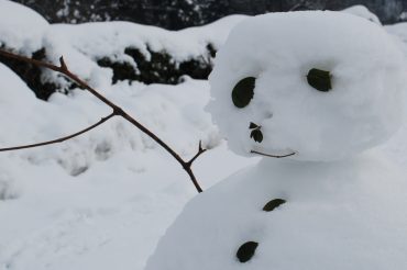 Il Babaciu di San Pietro