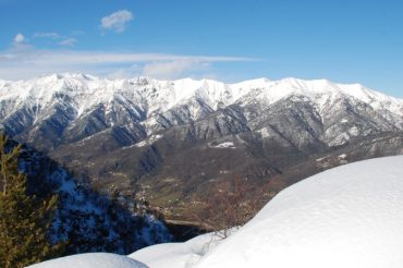 No, non sono i verdi