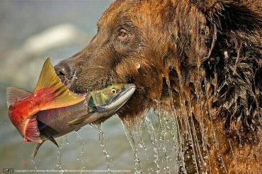 Fabrizio in cima al mondo