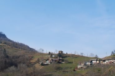 Il lupo e il ‘magnin’