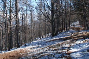 L’ultima neve – Punta Ceresa