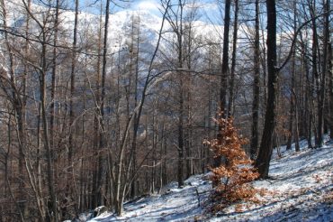 L’ultima neve – Punta Ceresa