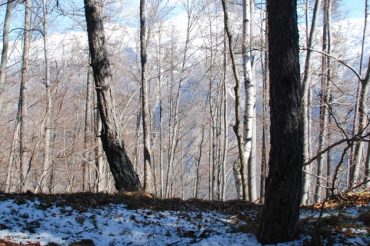 L’ultima neve – Punta Ceresa