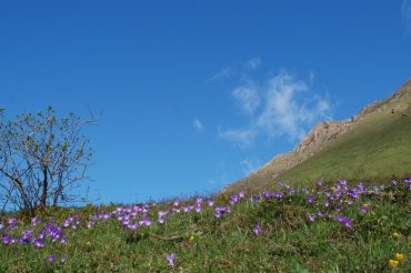 Per gli occhi di tutti