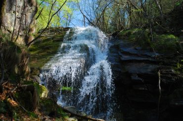 L’acqua di un ruscello