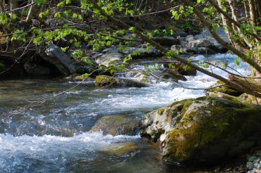 L’Acqua di Rusiart – Pramollo