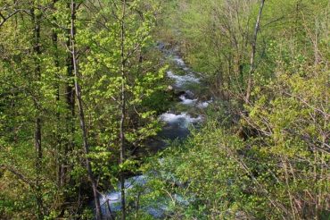 L’Acqua di Rusiart – Pramollo