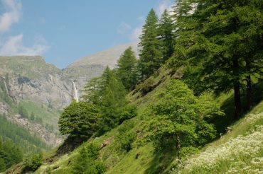 È dei bambini che verranno