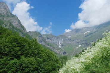 È dei bambini che verranno