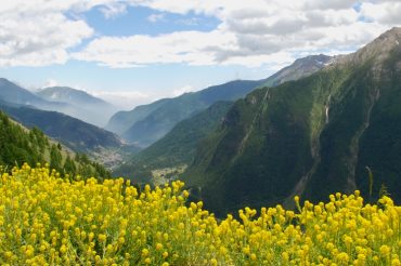 Buon Ferragosto 2015
