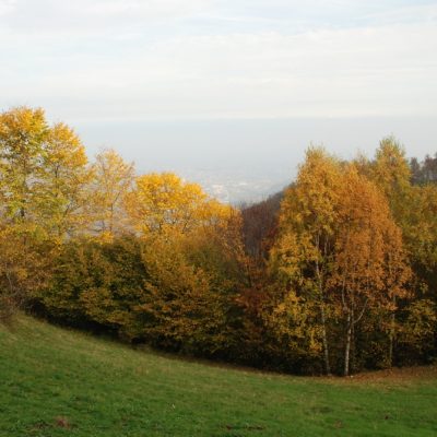 
				Sangle - S. Germano Chisone		