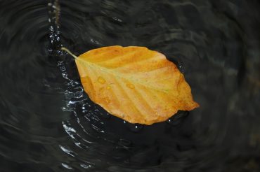 Il giorno della riflessione