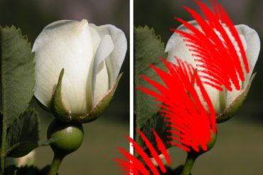 No alla violenza sulle donne