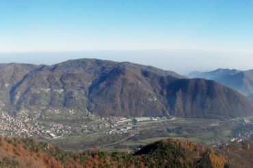 ll sentiero dei pini