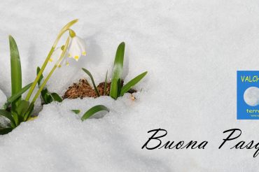 Buona Pasqua