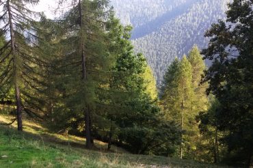 Il vallone di Garnier