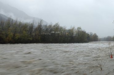 Chisun cresce ma forse ce la facciamo