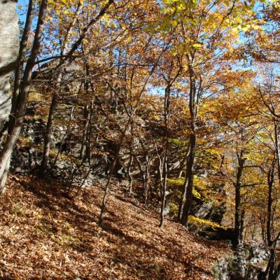 
				I resti del riparo sotto roccia		