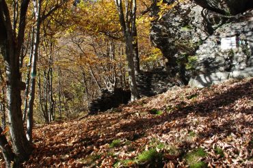 Tichoun, 11 novembre 1944 –                                                           31 ottobre 2016