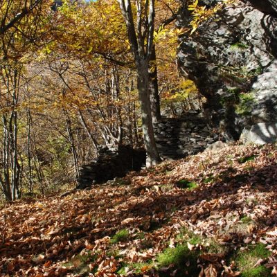 
				I resti del riparo sotto roccia		