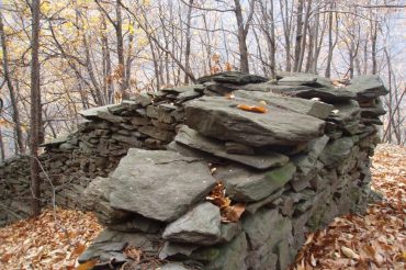 Il telefono del ‘gras’