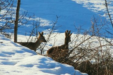 Le magie dell’inverno