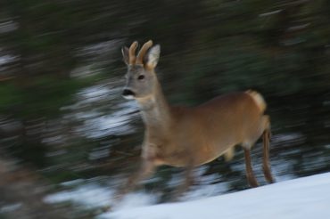 Le magie dell’inverno