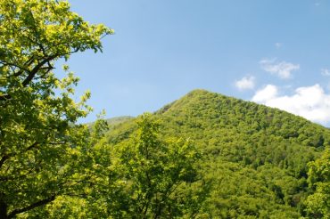 Boschi in Val Chisone