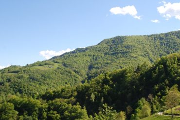Boschi in Val Chisone