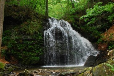 Il fieno di Comba Mià