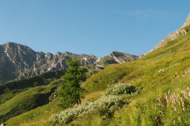 Vallone di Rodoretto