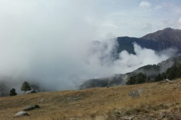 Il mistero della nebbia