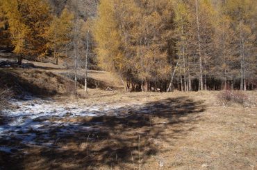 Incontro ravvicinato