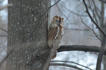 Guarda chi c’è…