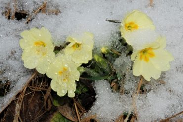 Anche se non sembra…