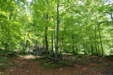 Il water di Plan dla s’arbra