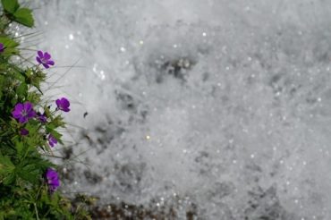 Ruscello dell’Assietta