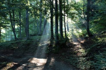 L’etichetta della festa