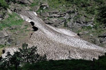 Imparare dagli asini