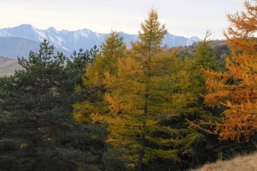 Autunno in Val Chisone