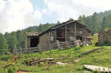 Il profumo che non c’è