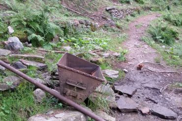 Il profumo che non c’è