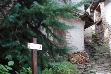 La tomba della volpe