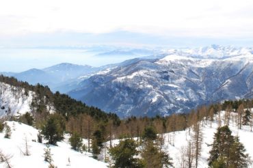 L’Albero di Natale